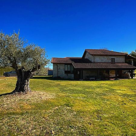 Habitaciones Con Bano Individual En Casa De Campo. Piscina. Amoeiro المظهر الخارجي الصورة